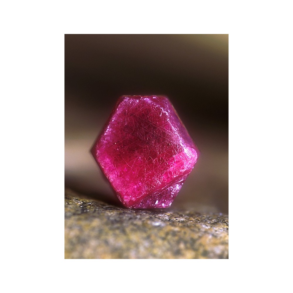 Alaska Single Essence - Ruby 7.4 ml