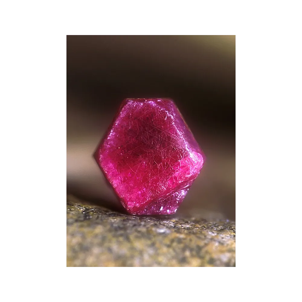 Alaska Single Essence - Ruby (Ruby) 7.4 ml