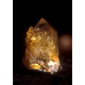 Essence Unique d'Alaska -...