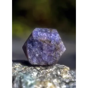 Esencia única de Alaska -...