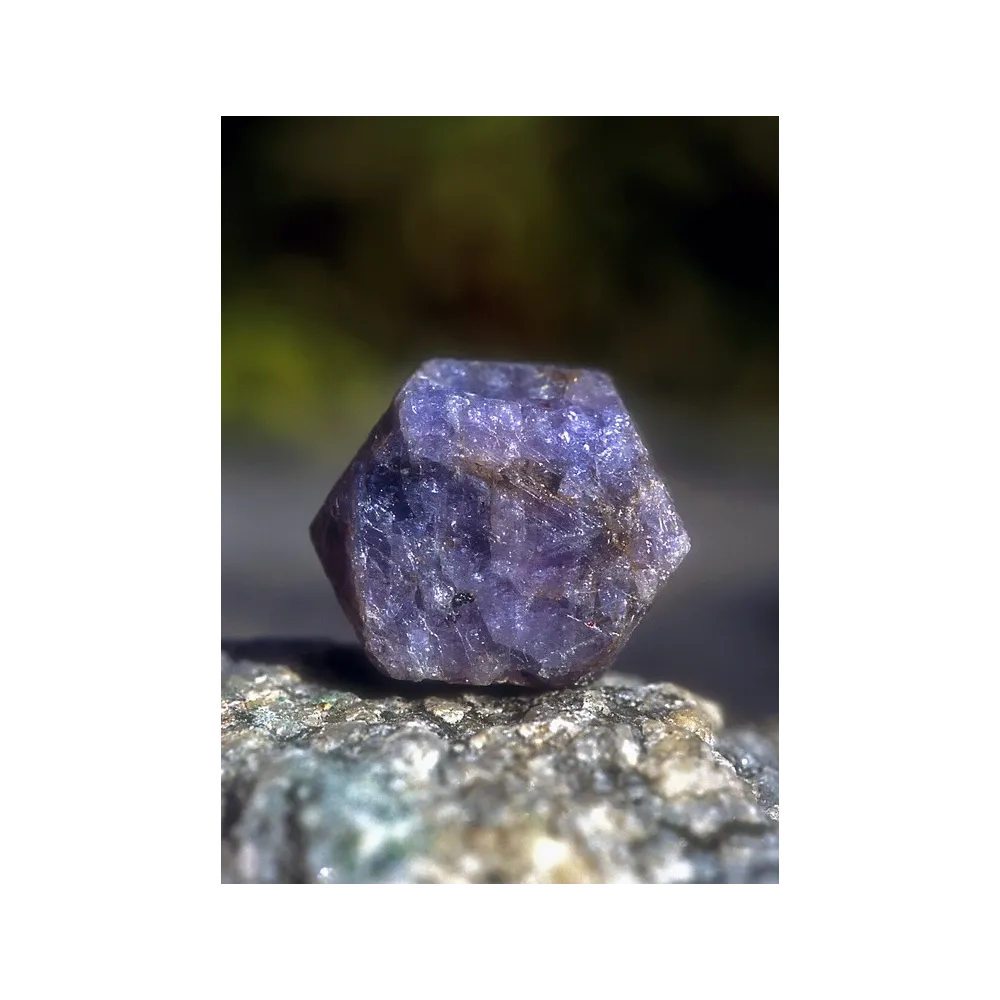 Essenza Singola dell'Alaska - Sapphire (Zaffiro) 7,4 ml