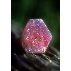Essenza Singola dell'Alaska - Sapphire/Ruby (Zaffiro/Rubino) 7,4 ml