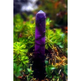 Essence unique d'Alaska -...