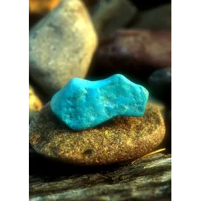 Alaska Single Essence -...