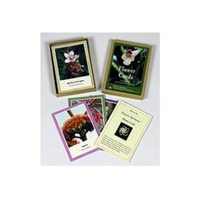 Arizona Desert Flower Card Set - 119 Pieces