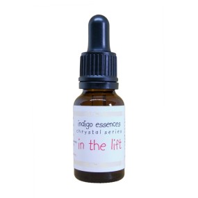 Formule composée Indigo - Dans l'ascenseur (Dans l'ascenseur) 15 ml