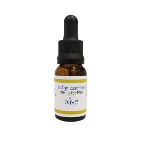 Essence Indigo Single - Olive (Régénératrice d'énergie) 15 ml