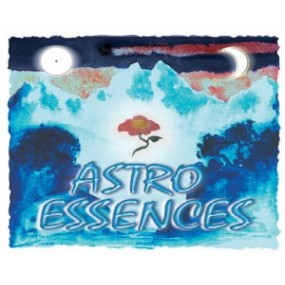 Kit de Florithérapie - Astro Essence 24 Essences Enhancers de l'Himalaya 15 ml