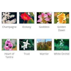 Kit Love and Sexuality Couples 8 Essenze Himalayan Enhancers 15 ml