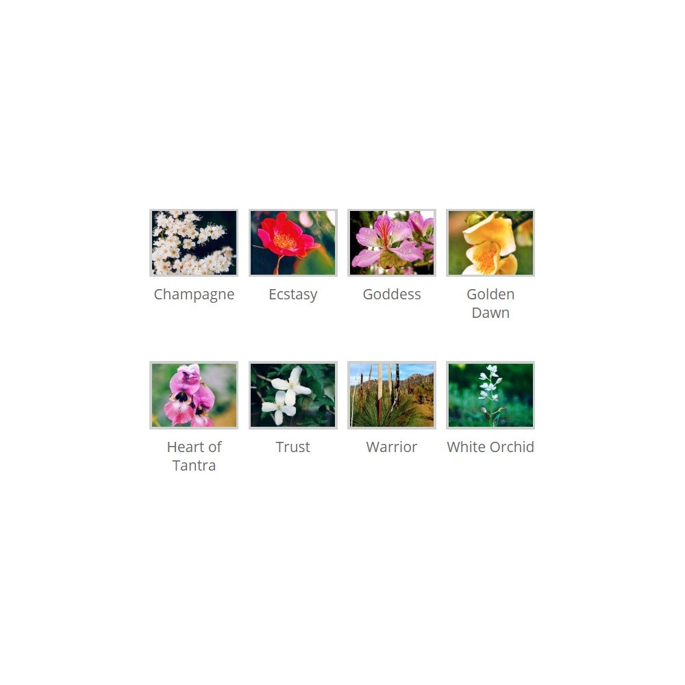 Kit Couples Amour et Sexualité 8 Essences Enhancers de l'Himalaya 15 ml