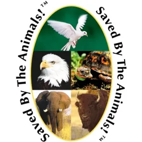Formula Composta Wild Earth...