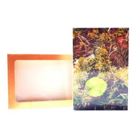 Bachblüten-Postkartenset - 38 Stück