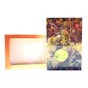 Set de postales de Healing Herbs con flores de Bach (38 piezas)