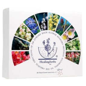 Kit de Floriterapia - Healing Herbs - 38 Flores de Bach + 2 Cinco Flores 10 ml