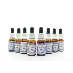 Floritherapy Set – Liebe und Sexualität für Paare, 8 Himalaya-Essenz-Booster, 15 ml