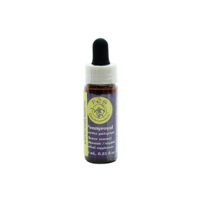 FES California Single Essence - Menthe pouliot 7,4 ml