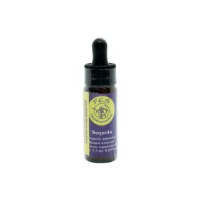 Essence unique californienne FES - Séquoia 7,4 ml