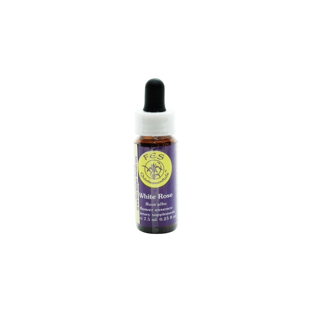 FES Californian Single Essence – Weiße Rose 7,4 ml