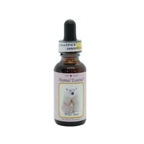 Wild Earth Single Essence - Eisbär 30 ml