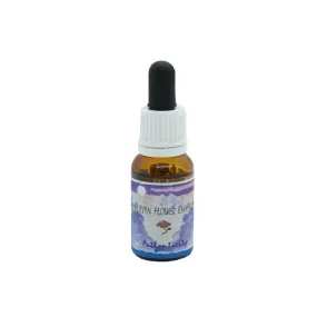Single Essence Himalaya Enhancers - Authentizität 15 ml