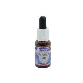 Esencia única Himalaya Enhancers - Con los pies en la tierra 15 ml
