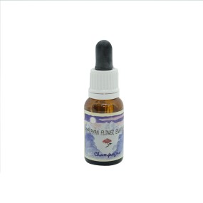 Essence simple Himalaya Enhancers - Champagne 15 ml