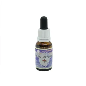 Potenciadores Himalaya Single Essence - Cedar 15 ml