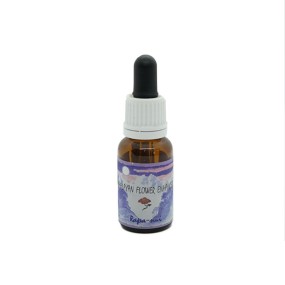 Essence unique Himalaya Enhancers - Rapa-Nui 15 ml