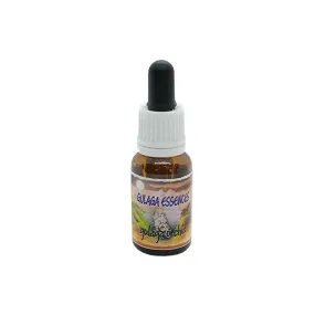 Potenciadores Himalaya Single Essence - Orquídea Gulaga 15 ml