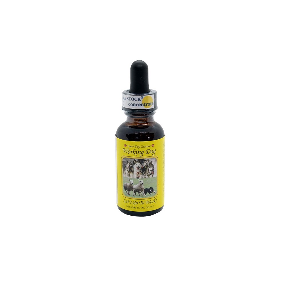 Chien de Travail : Allons travailler 30 ml