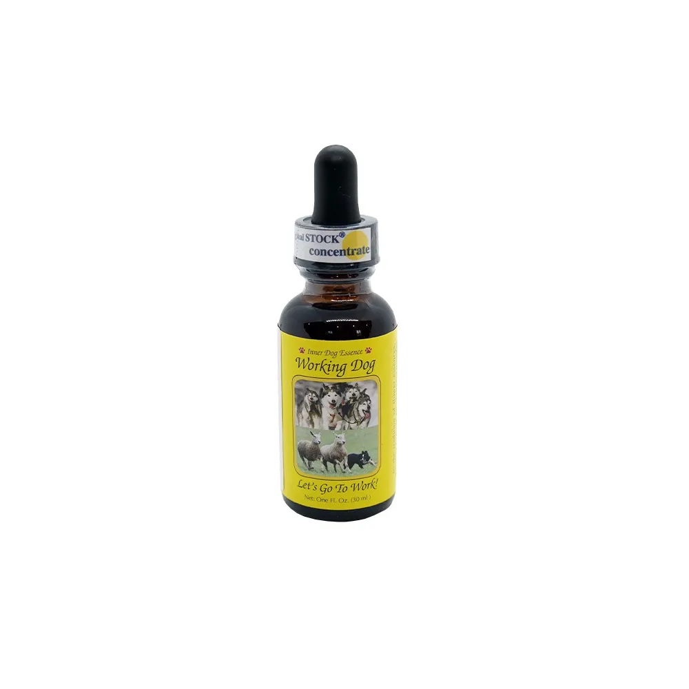 Working Dog: Let's go to work 30 ml