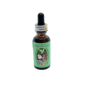 Wild Earth Compound Formula - Gemeinschaft mit Gott (30 ml)