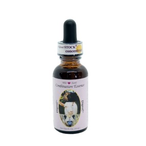 Fórmula compuesta de Wild Earth - Digest 30 ml
