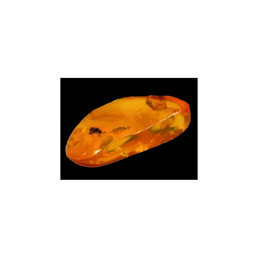 Essence unique Pacific - Ambre 7,4 ml