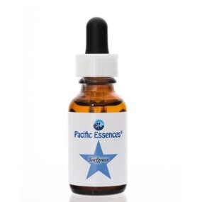 Essence unique Pacific - Herbe des vagues 7,4 ml