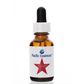 Single Essence of the Pacific - Alum Root 7.4 ml