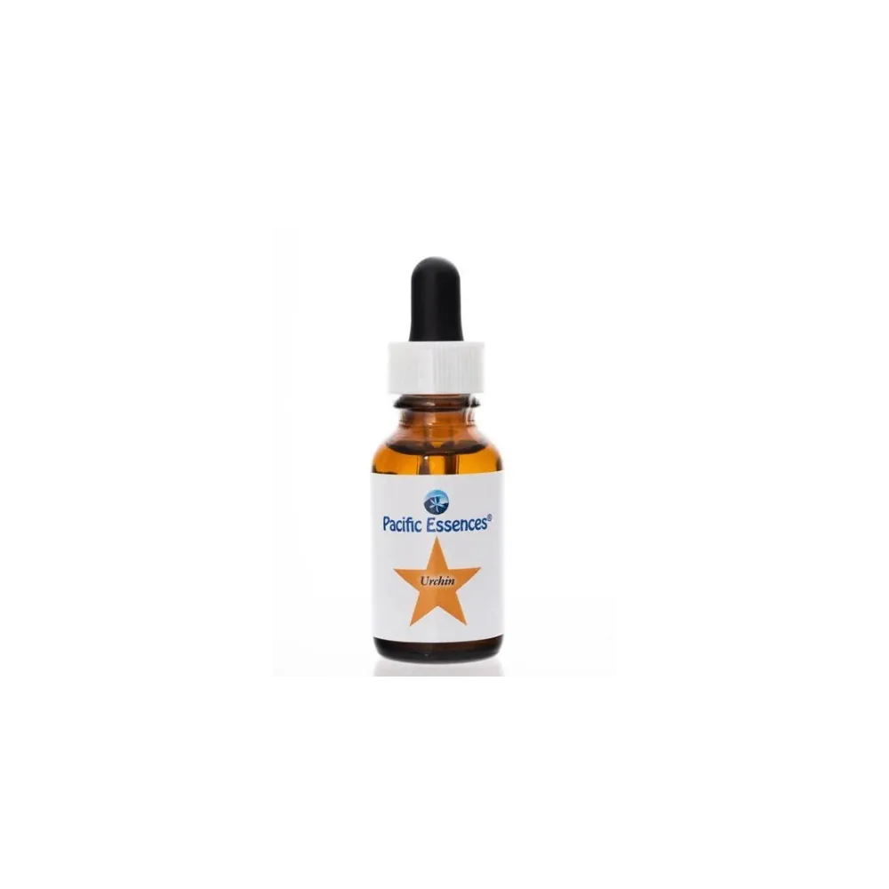Pacific Single Essence - Oursin 7,4 ml