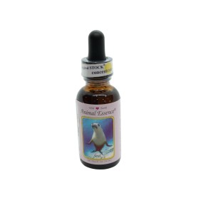 Joint (Joint) 30 ml