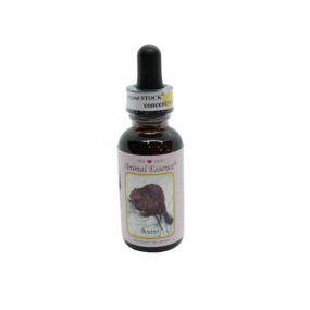 Esencia única Tierra Salvaje - Castor (Castoro) 30 ml