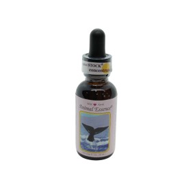 Esencia única Wild Earth - Ballena 30 ml