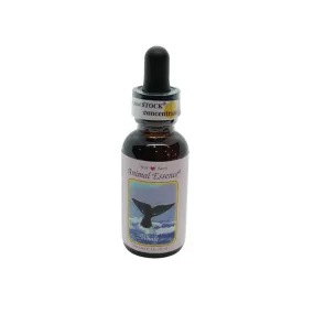 Baleine (Baleine) 30 ml