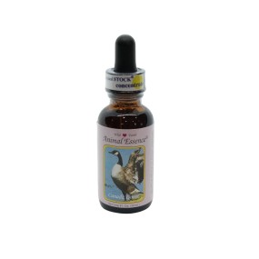 Esencia única Wild Earth - Canada Goose 30 ml