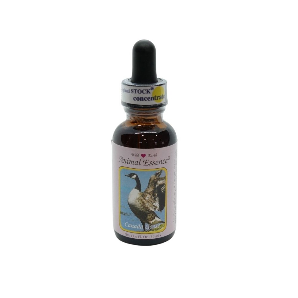 Canada Goose (Oca Canadese) 30 ml