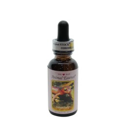 Essence unique Wild Earth - Salamandre (Salamandra) 30 ml