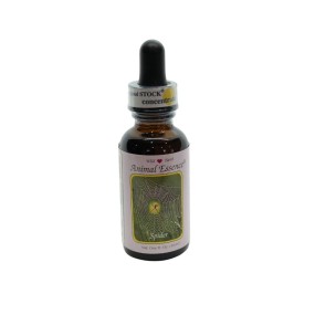 Esencia única Wild Earth - Araña (30 ml)