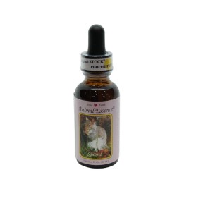 Esencia única Wild Earth - Ardilla 30 ml