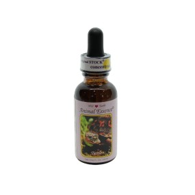 Essence unique Wild Earth - Tortue 30 ml