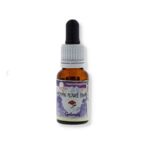 Essence unique Himalaya Enhancers - Gateway 15 ml