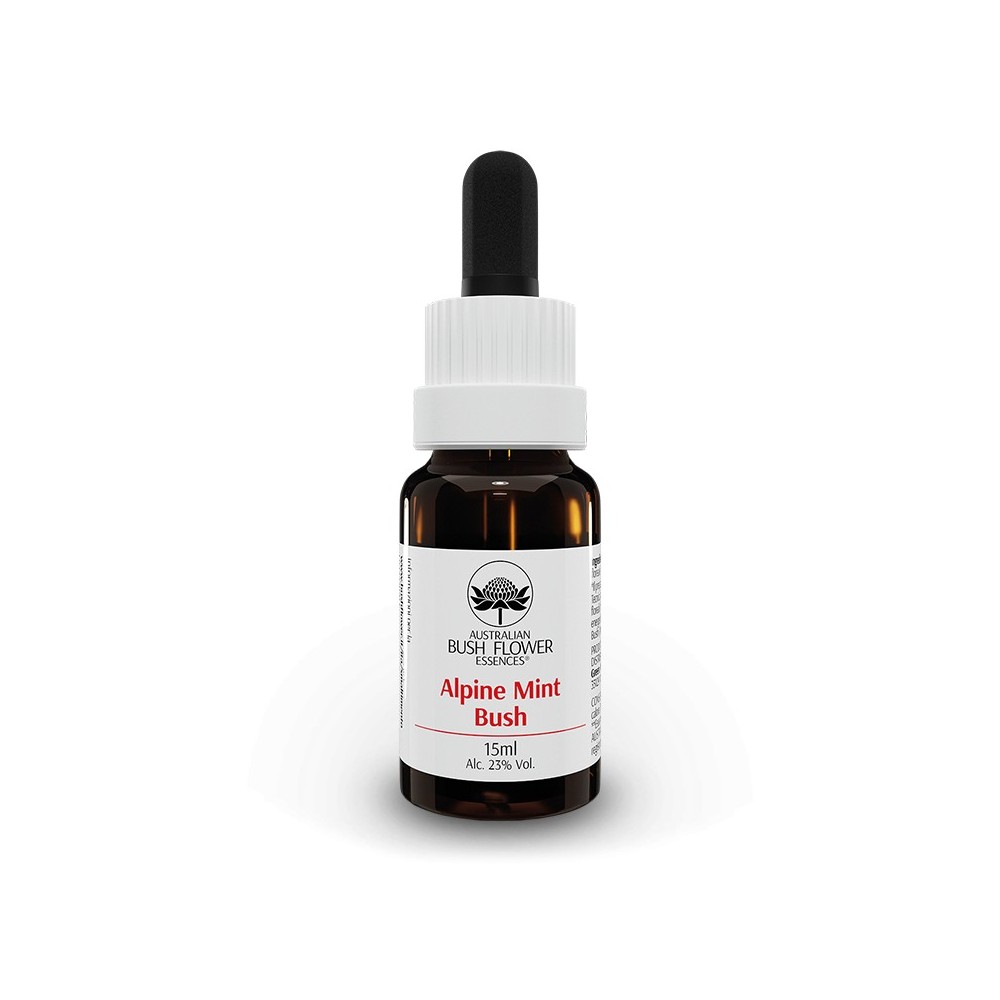 Menthe des Alpes Buisson 15ml