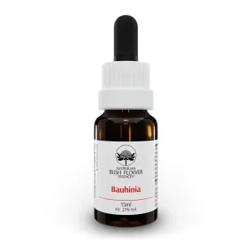 Australian Bush Single Essence - Bauhinia 15 ml
